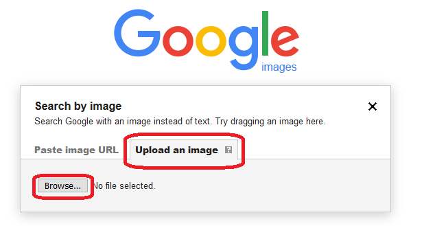 How To Do Google Reverse Image Search