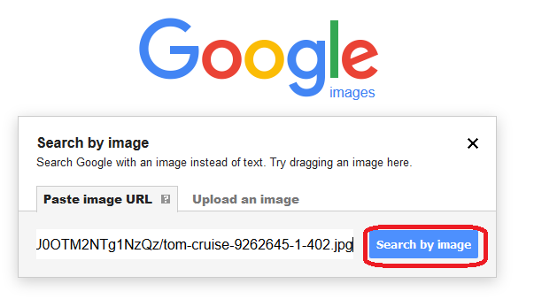 Google Reverse Image Search By Pasting The Image Url