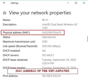 find ethernet adapter mac address