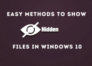 Read More About The Article 3 Easy Methods To Show Hidden Files In Windows 10