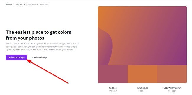 Upload Image On Canva To Find Colors